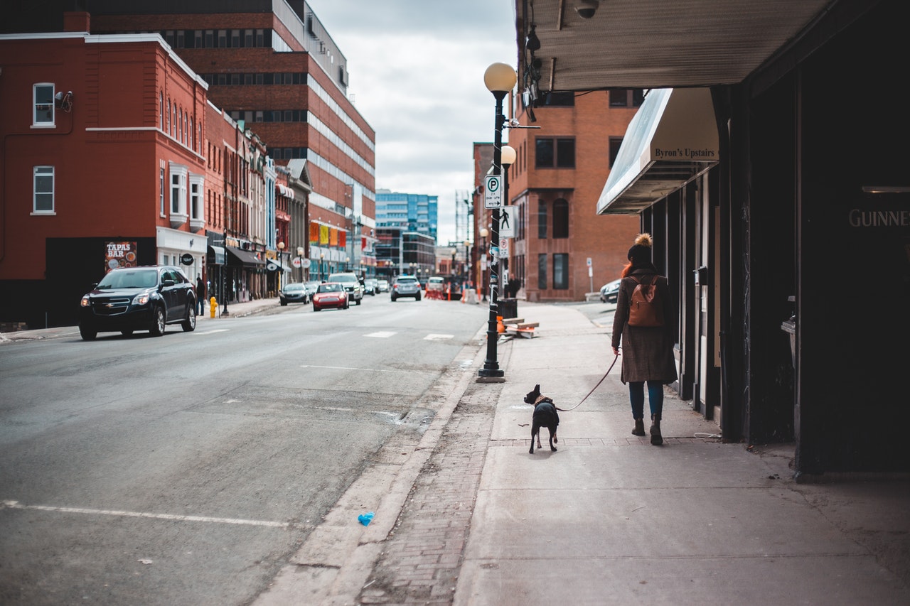Comment apprendre à votre chien à aller faire ses besoins dehors ?