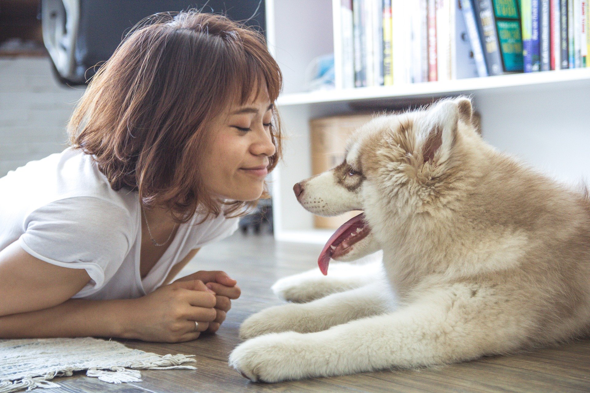 Le jeu avec un chien doit comporter des éléments physiques et intellectuels.