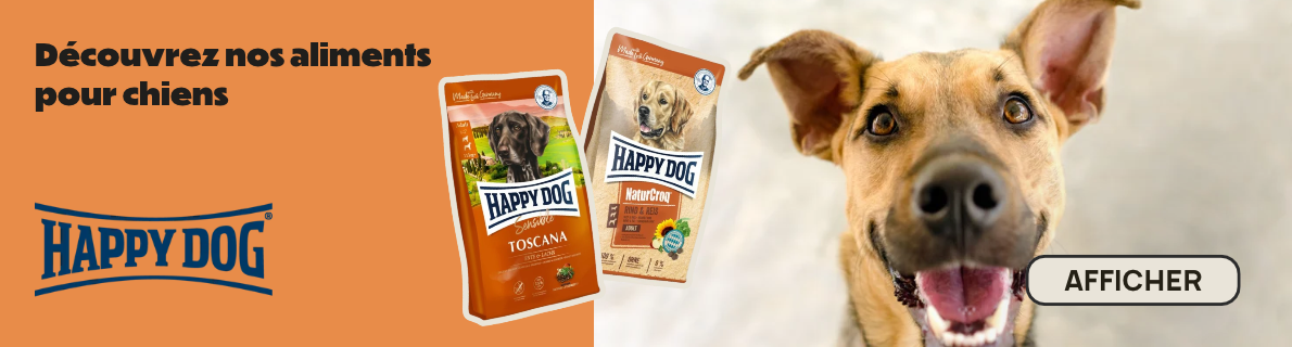 happydog