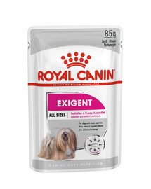ROYAL CANIN Exigent mousse 85 g x 12