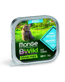 MONGE Bwild Cat Adult - Patée d'anchois et légumes sans céréales - 100g