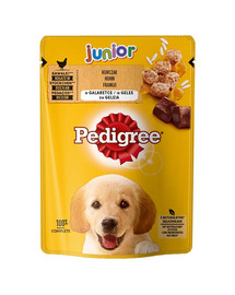 PEDIGREE Junior Choix de saveurs 24x100g sachet de poulet et de riz en gelée