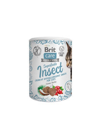 BRIT Care Cat Snack Superfruits insects 100 g