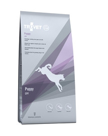 HILL'S Prescription Diet Canine Derm Complete 12 kg croquettes pour renforcer la peau des chiens