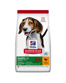 HILL'S Science Plan Canine Puppy Medium Chicken 18 kg cibo per cani di razza media pollo