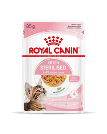 ROYAL CANIN Kitten Sterilised  w galaretce 48 x 85 g