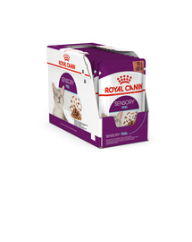 ROYAL CANIN Sensory Feel gravy 48x85 g kawałki w sosie dla kotów dorosłych pobudzające percepcje tekstur