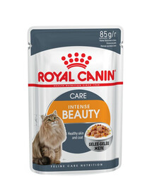 ROYAL CANIN Intense Beauty w galaretce 48 x 85 g