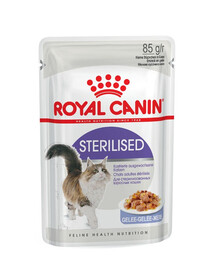ROYAL CANIN Sterilised w galaretce karma mokra w galaretce dla kotów dorosłych, sterylizowanych 24 x 85 g