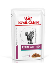 ROYAL CANIN Renal Feline Fish 48 x 85 g cibo umido per gatti con insufficienza renale cronica