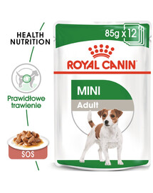 ROYAL CANIN Mini Adult 4x12x85g mokra karma dla psów ras małych do 10 kg