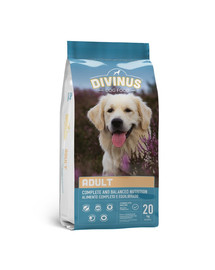 DIVINUS Adult per cani adulti 20 kg