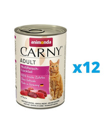 ESME FOR DOG Laisse pour chien aquarius 150 cm / 2,5 cm