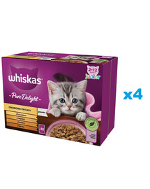 WHISKAS Junior bustina 48x85g di frittelle di pollame cibo umido per gattini in gelatina con: pollo, tacchino, pollame, anatra