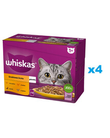 WHISKAS Adult 48 x 85g bustine Poultry Feast cibo umido in gelatina per gatti adulti con: pollo, anatra, pollame, tacchino