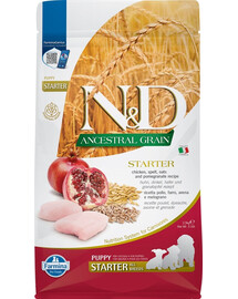 BAYER Drontal Dog Flavour dla psów 24 tabletki