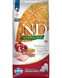 BAYER Drontal Dog Flavour dla psów 24 tabletki