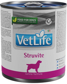 BIOFEED EUPHORIA Gluten Free Avec de la viande de bœuf pour les chiots de moyenne et grande race 12 kg