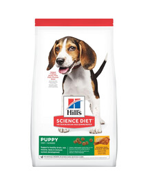 HILL'S Science Plan Puppy <1 Medium breed con pollo 14kg + 3 lattine GRATIS