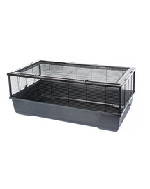 EUKANUBA Active Adult Large Breed bogata w świeżego kurczaka 30 kg (2 x 15kg)