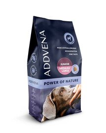 LITTY KITTY Bentonite Żwirek bentonitowy naturalny 5 l (4 kg)