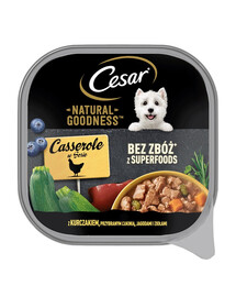 CESAR Nourriture humide complète pour chiens adultes avec du poulet, des courgettes, des baies et des herbes en sauce 100 g