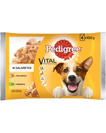 PEDIGREE Vital Protection gelatina di agnello e pollo 52 x 100 g