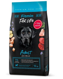 Dog For Life Adult large breed 12 + 1 kg