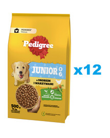 PEDIGREE Junior 12x500 g z drobiem i warzywami sucha karma pełnoporcjowa dla dorastających psów dużych i średnich ras