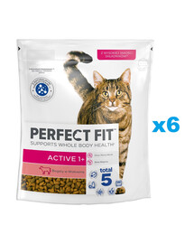 PERFECT FIT Active 1+ 6x750 g sucha karma pełnoporcjowa dla dorosłych kotów bogata w wołowinę