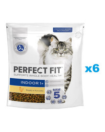 PERFECT FIT Indoor 1+ 6x750 g sucha karma pełnoporcjowa dla dorosłych kotów bogata w kurczaka