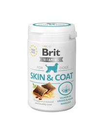 Vitamins Dog Skin Coat 150 g suplement dla psa wspierający skórę i sierść