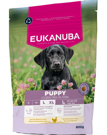 EUKANUBA Puppy Large Breeds Chicken nourriture sèche pour chiots de grandes races riche en poulet frais 800g