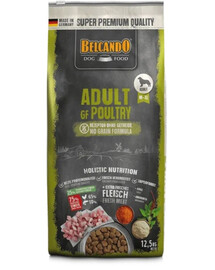 BELCANDO Grain Free Adult Poultry 22,5 kg – alimentation sans céréales pour chiens de races moyennes et grandes