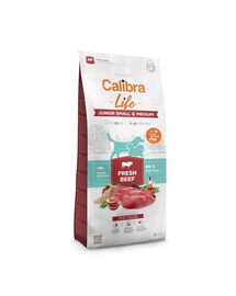 Dog Life Junior Small Medium Fresh Beef 12 kg z wołowiną dla młodych psów ras małych i średnich