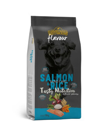DIVINUS Flavour Dog au saumon et au riz, croquettes pour chien, 18 kg