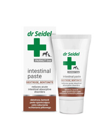 DR SEIDEL Intestinal Paste na zaburzenia jelitowe 40g