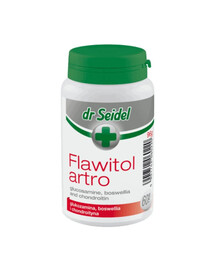 DR SEIDEL Flawitol Artro wspomagający kondycję stawów 180 tabl.
