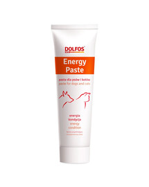 DOLFOS Energy Paste 100g energia i kondycja pasta dla psów i kotów w okresie rekonwalescencji