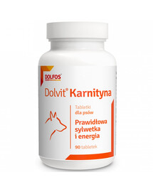 DOLFOS Dolvit Karnityna 90 tabl. prawidłowa sylwetka i witalność tabletki dla psów
