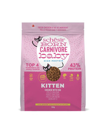 SCHESIR Born Carnivore Kurczak z jajkiem 255 g karma sucha dla kociąt