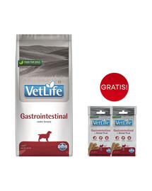 FARMINA Vet Life Gastrointestinal Dog 12 kg karma dla psów z problemami trawiennymi