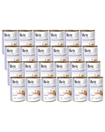 Brit Veterinary Diet Dog Salmon Gastrointestinal, Saumon - Soutien complet pour la digestion sensible 24x400 g