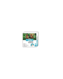 BAYER KILTIX collier moyen
