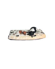 TRIXIE Lit/Coussin "Gino"