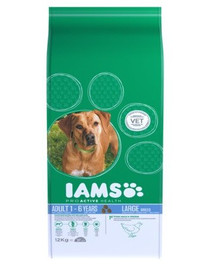 IAMS ProActive Health Adult Large Breed Chicken 3 kg