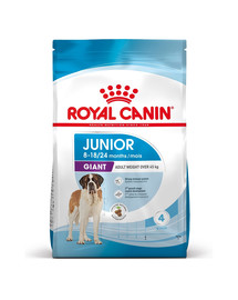 ROYAL CANIN Giant junior 15 kg