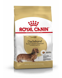 ROYAL CANIN Dachshund adult 7.5 kg