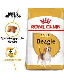 ROYAL CANIN Beagle adult 12 kg