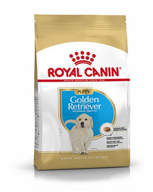 ROYAL CANIN Golden retriever junior 12 kg -  spécialement conçu pour un Chiot Golden Retriever, de 2 à 15 mois.